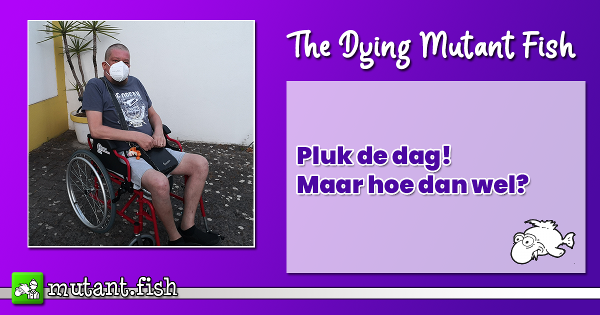 Pluk de dag? Maar hoe dan wel?