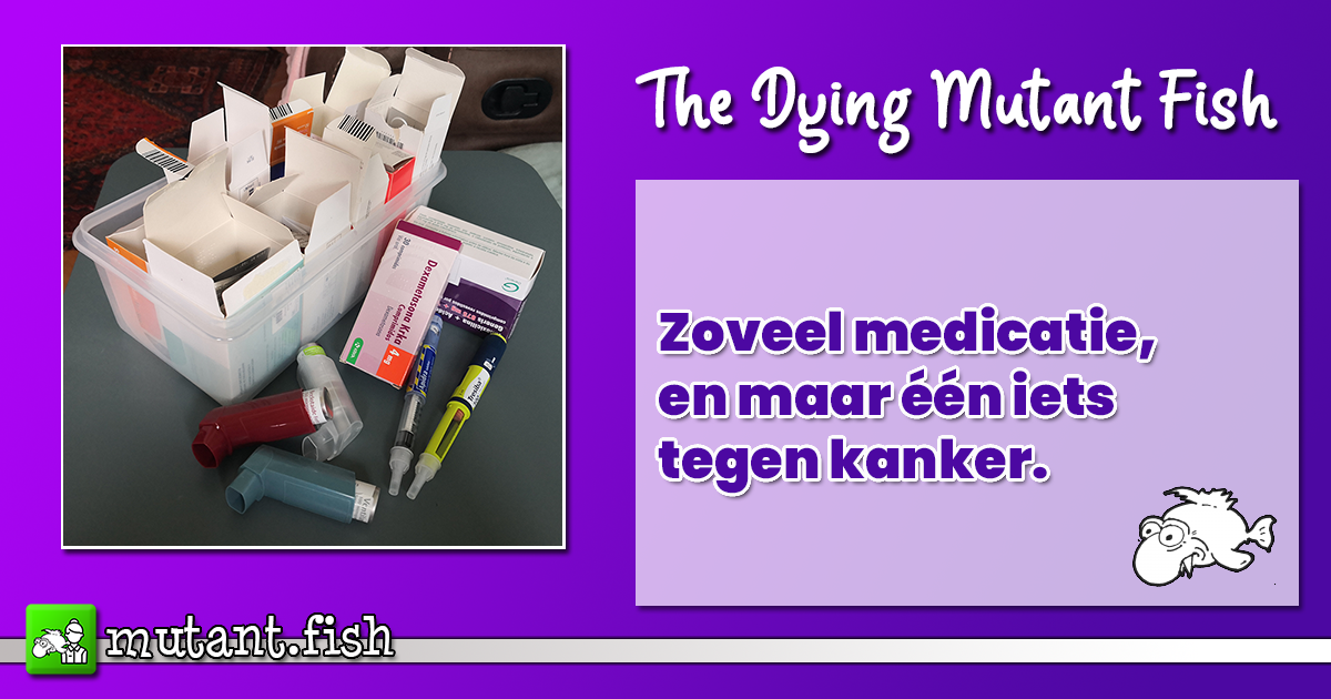 Zoveel medicatie, en maar één iets tegen kanker!