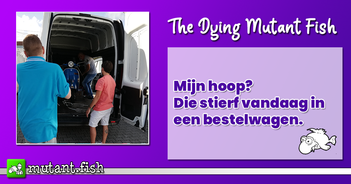 Mijn hoop? Die stierf vandaag in een bestelwagen.